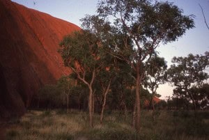 Sarah Vermoolen Ayers Rock Uluru