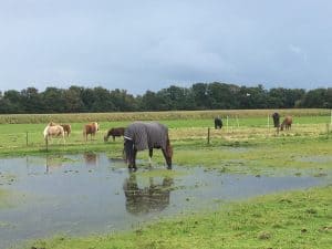 Schiermonnikoog, Sarah Vermoolen